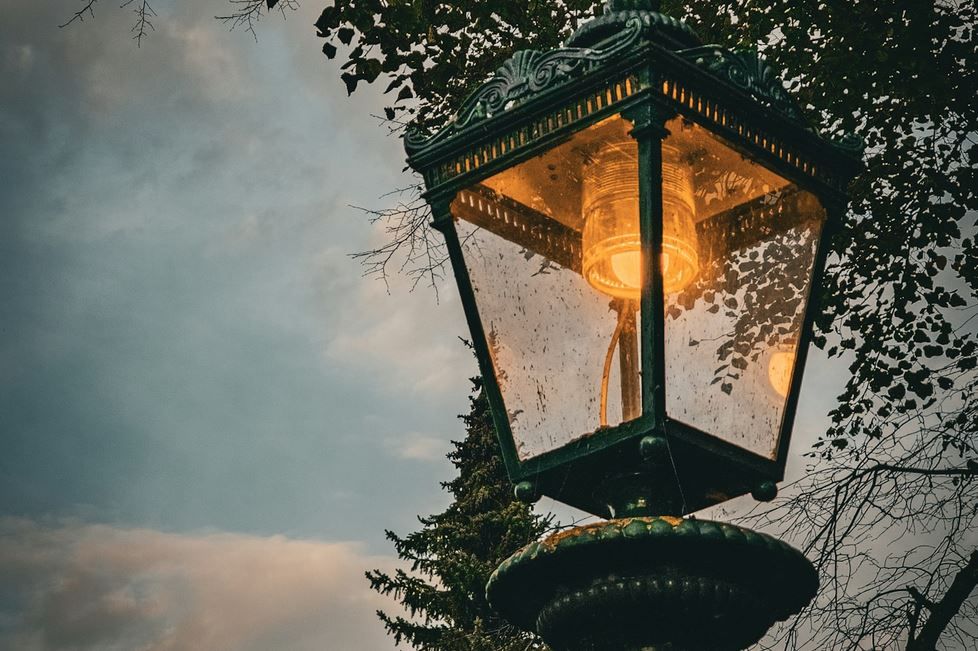 What Gauge Wire For Landscape Lighting
