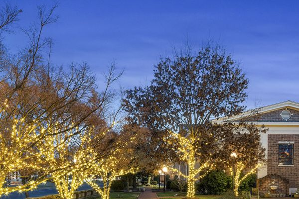 Dominion Lightworks