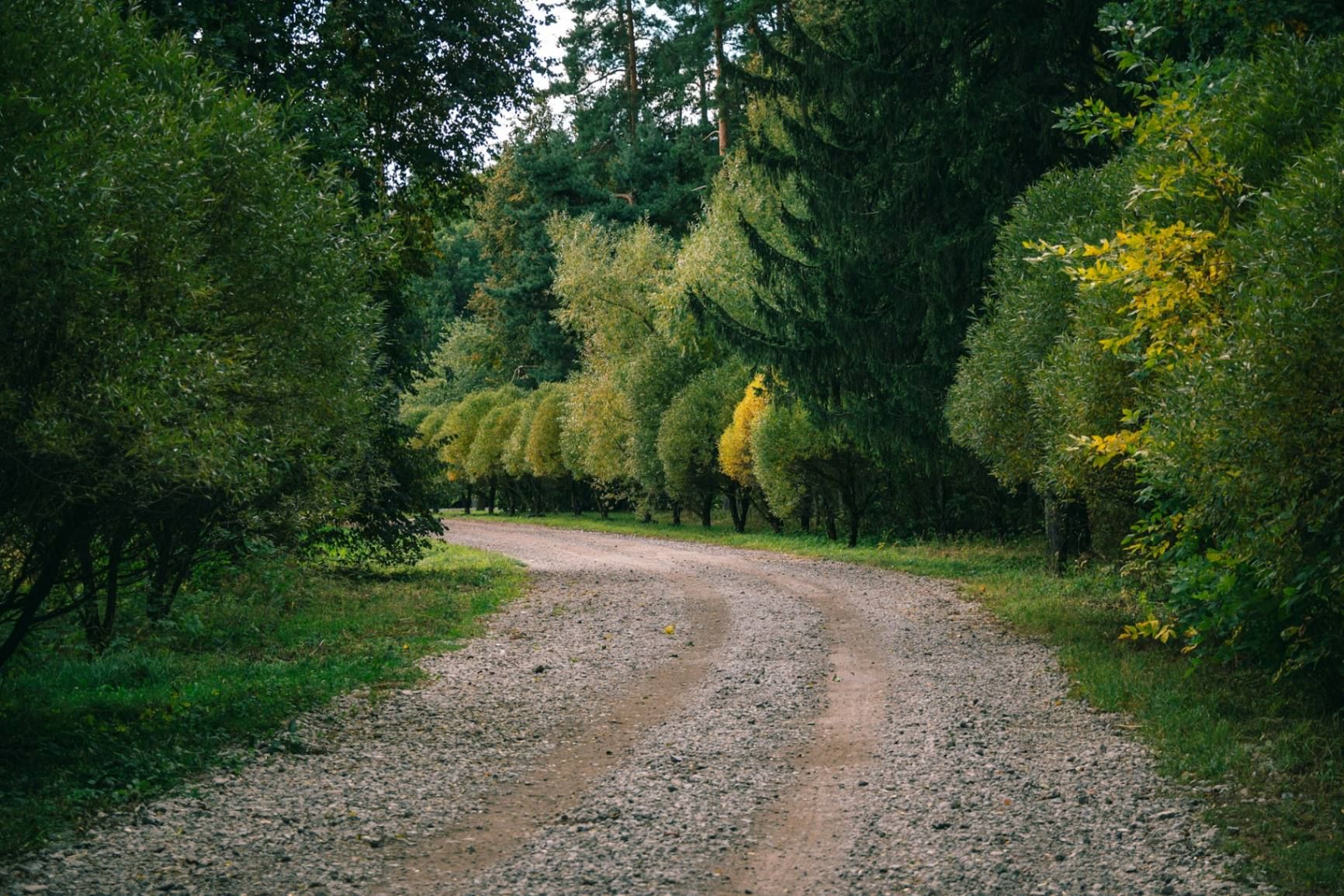 Lighting A Long Driveway