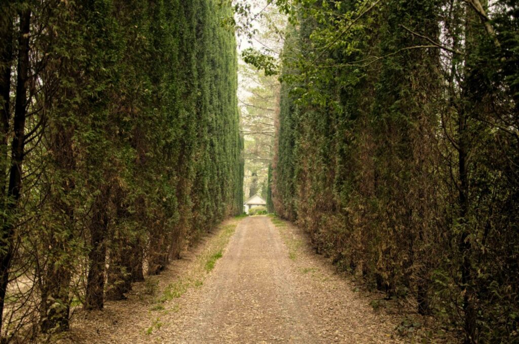 How To Light A Long Driveway