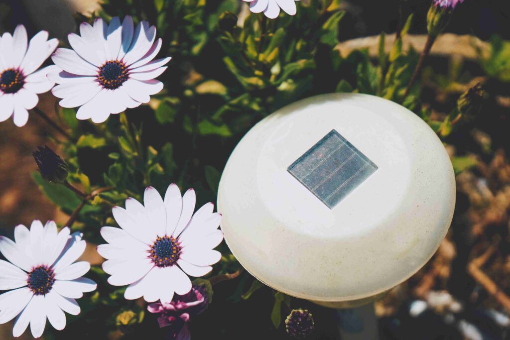 cleaning solar panels on garden lights