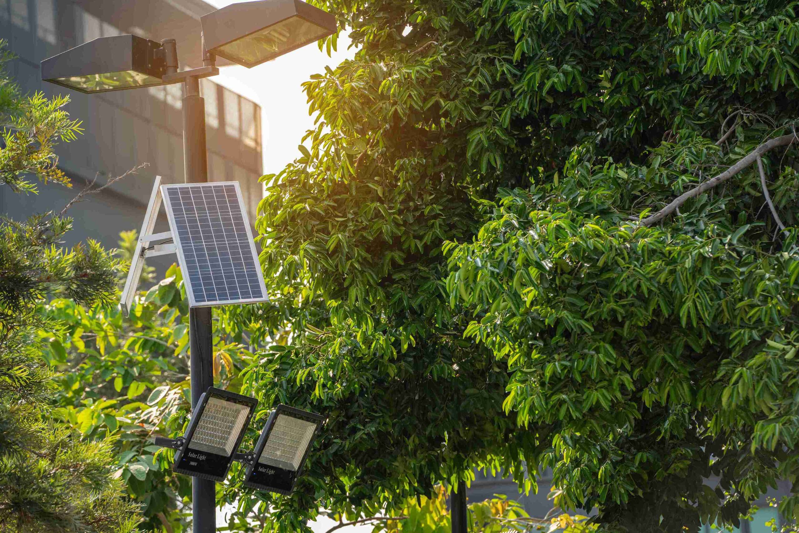 How to Clean Solar Panels on Garden Lights for Maximum Brightness 1 How to Clean Solar Panels on Garden Lights for Maximum Brightness
