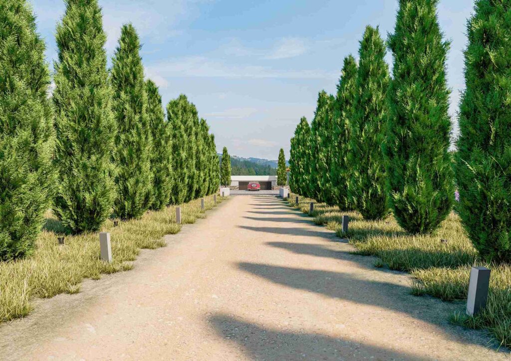 lighting ideas for long driveway