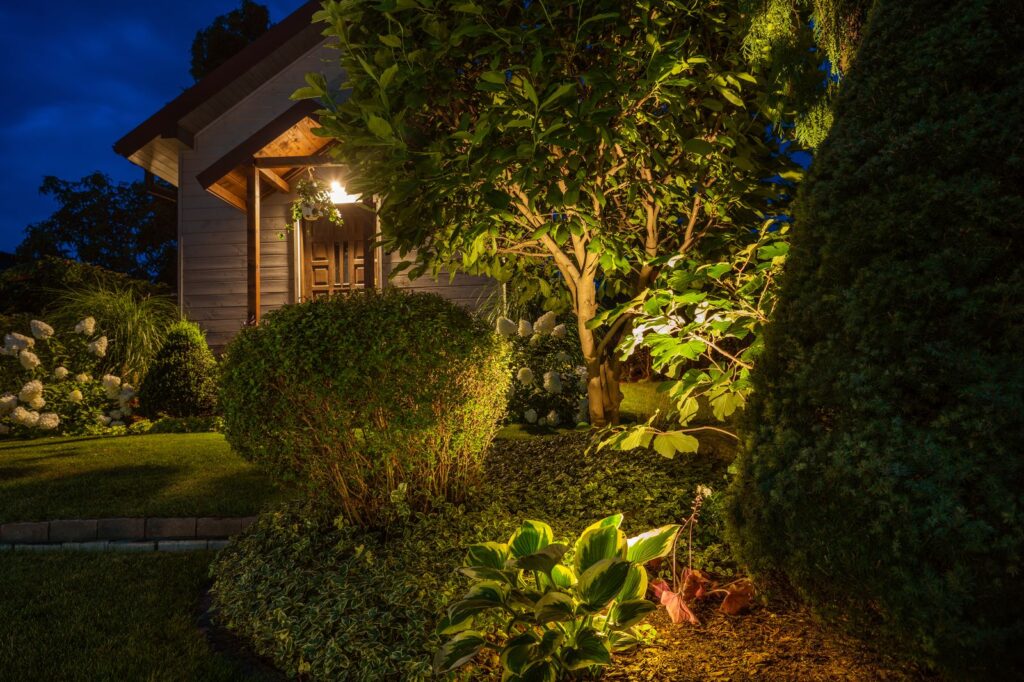 Uplighting Effect On Evening Backyard Garden Resized